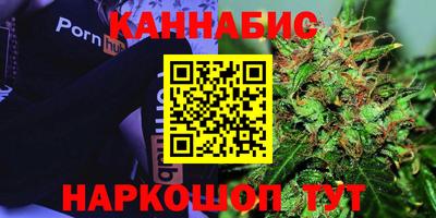 прущие крисы Можга
