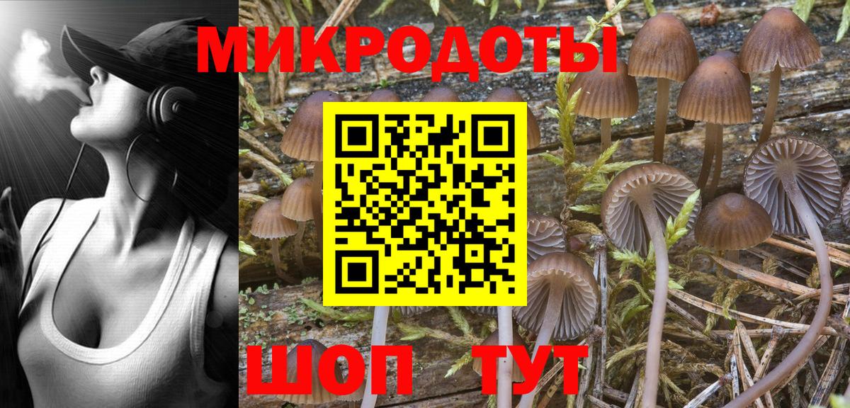 Галлюциногенные грибы Psilocybine cubensis Великий Новгород